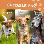 Dog Multivitamins - 180 Split and Pour Capsules