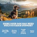 Dog Multivitamins - 180 Split and Pour Capsules