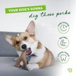 Benebone Indestructible Wishbone Dog Chew Toy