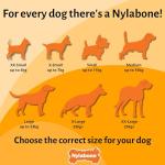 Nylabone Tough Lobster Chew Toy for Dogs