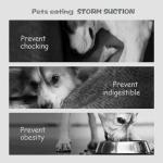 Lesipee Interactive Slow Feeder Bowl for Dogs and Cats