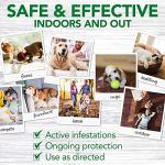 Vet's Best Flea and Tick Spray for Dogs