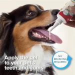 Beaphar No-Brush Dental Gel for Cats and Dogs