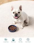 Vancasso Blue Slow Feeder Bowl for Small Pets