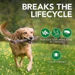 Vet's Best Flea and Tick Spray for Dogs