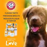 ARM & HAMMER Coconut Mint Dog Water Additive