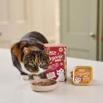 Lily’s Kitchen Organic Grain-Free Turkey Cat Food