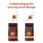 Wellness CORE Chicken & Turkey Grain-Free Dog Food