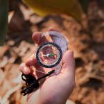 Mini Pocket Compass for Hiking and Camping