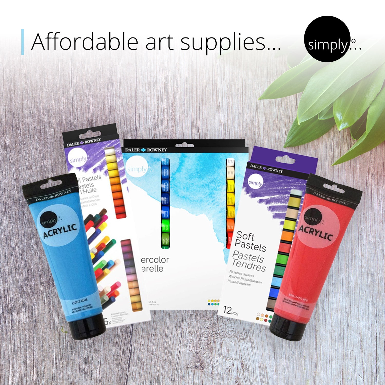 Daler-Rowney Simply Oil Paints, 24 Assorted Colors