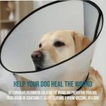 Forticept Blue Butter – Dog Hot Spot Relief