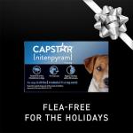 Fast-Acting Flea Treatment for Dogs 2-25 Lbs