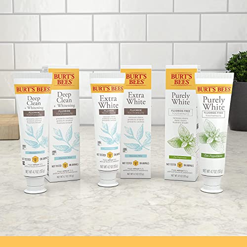 Burt's Bees Fluoride-Free Natural Toothpaste, 3-Pack
