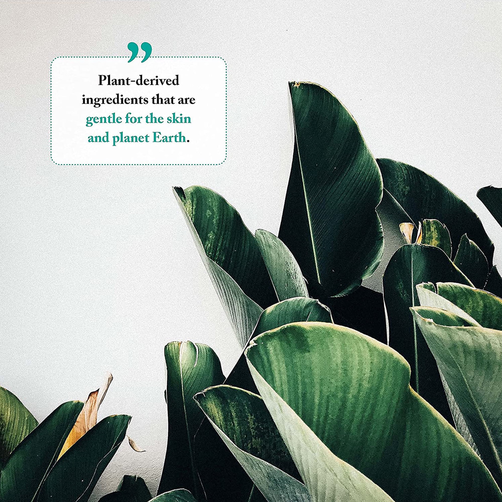 Rosemary Mint Foaming Hand Soap Refill, Eco Friendly