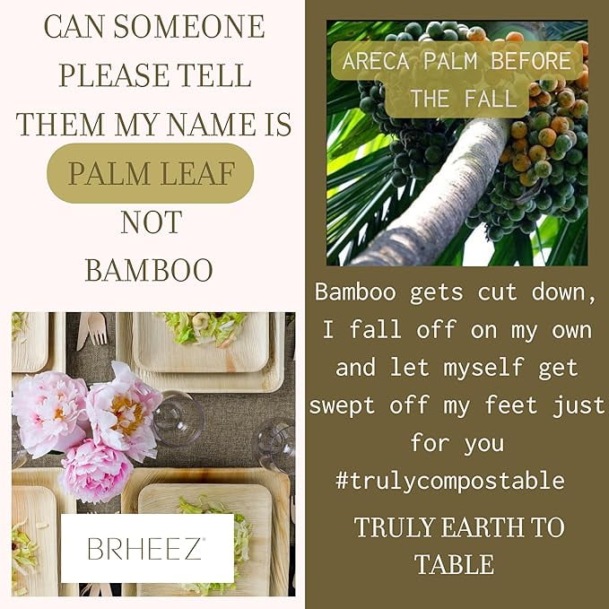 Brheez 100-Pack Eco-Friendly Bamboo-Look Plates
