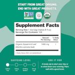 FGO Organic Spearmint Leaf Tea, 100 Count, Eco-Conscious Tea Bags, Caffeine Free, Resealable Bag, Packaging May Vary (Pack of 1)