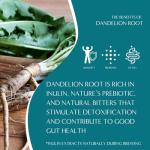 Teeccino Dandelion Herbal Tea - Caffeine-Free Dark Roast