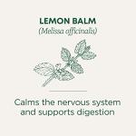 Lemon Balm Herbal Tea for Stress Relief