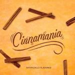 Dunkin' Cinnamania Ground Coffee, 11 Ounces