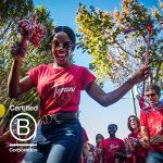 Torani Sugar Free Soda Flavor Variety Pack