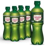 Canada Dry Ginger Ale, 6-Pack, 0.5 L Bottles