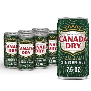 Ginger Ale Soda, 7.5 oz Cans, 6 Pack