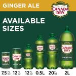 Canada Dry Ginger Ale, 6-Pack, 0.5 L Bottles