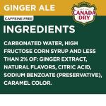 Ginger Ale Soda, 7.5 oz Cans, 6 Pack