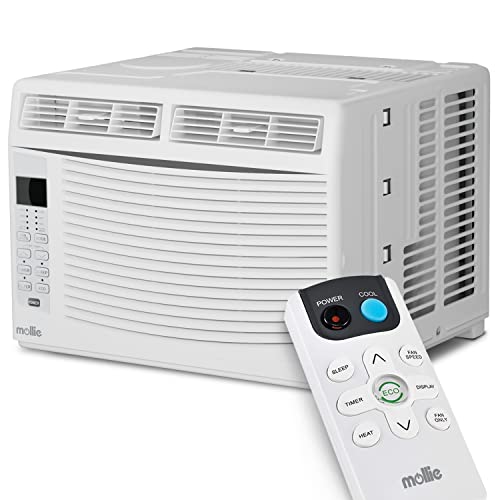Mollie 6000 BTU Window AC Unit with Remote