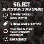 Select Numero 10 Turf Match Soccer Ball