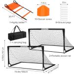 Kids Backyard Soccer Goals with Cones and Ladder