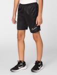 Nike Kids Trophy23 Dri-FIT Training Shorts, Large