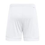Adidas Men's Squadra 25 Soccer Shorts - Medium