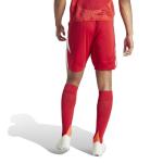Adidas Men's Tiro 24 Soccer Shorts - Red/White