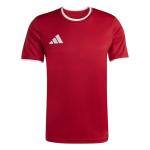 adidas Entrada26 Men's Jersey, Power Red/White, Large
