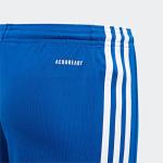 adidas Squadra 21 Boys' Shorts, Team Royal Blue