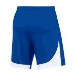 Nike Men's Dri-FIT Classic II Shorts - Game Royal