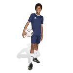 adidas Kids Entrada26 Jersey, Navy Blue/White, XL