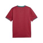 Puma Portugal Men's Home Jersey - Red-Green