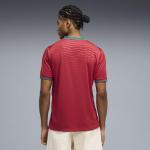 Puma Portugal Men's Home Jersey - Red-Green