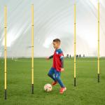 Soccer Agility Training Kit with Poles and Ladder