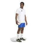 adidas Entrada26 Men’s Shorts, Royal Blue, Large