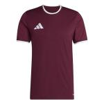 adidas Men's Entrada26 Jersey Men, Team Maroon/White, Large