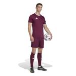 adidas Men's Entrada26 Jersey Men, Team Maroon/White, Large