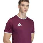 adidas Men's Entrada26 Jersey Men, Team Maroon/White, Large