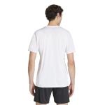 adidas Men's Entrada26 Jersey, White/White, Medium