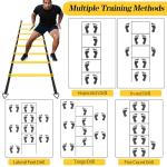 12 Rung Agility Ladder Set for Speed Training