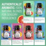 Premium Essential Oil Blends Set for Diffusers