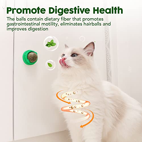 Potaroma Silvervine Catnip Balls for Healthy Chewing