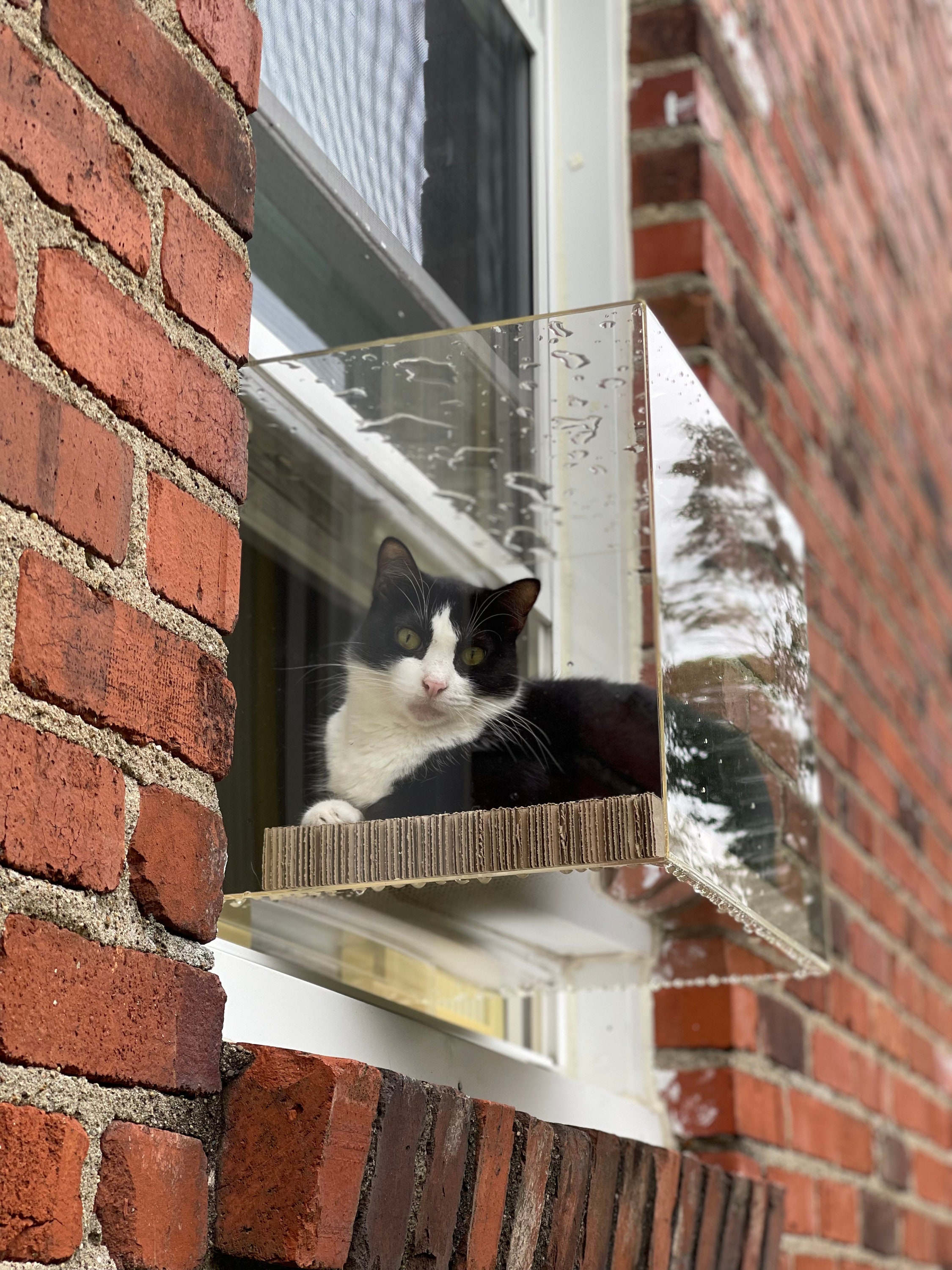 Window Catio for Custom Fit (24”-36” Windows)